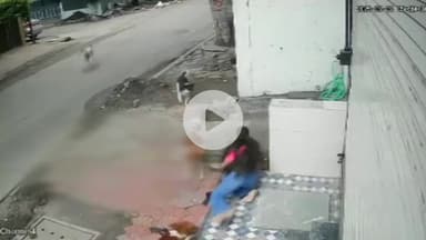 इंदौर: MIG क्षेत्र में कुत्तों के झुंड ने एक छात्रा पर किया हमला, घटना का CCTV फ़ुटेज आया सामने