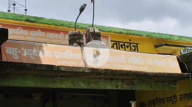 कप्तानगंज: कुशीनगर जिले में खाद की किल्लत पर भाजपा नेता ने प्रमुख सचिव को सौंपा पत्र, किसानों को समय पर खाद उपलब्ध कराने की मांग की