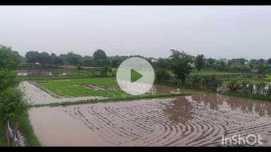 राजसमंद: राजसमंद में बरसात से ग्रामीण हो रहे परेशान, अवैध कब्जों के कारण नदी-नाले बंद होने से खेतों में जम गया पानी