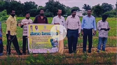 మైదుకూరు: మైదుకూరు:రైతు సేవ కేంద్రాల్లో పంట నమోదు చేయించుకోవాలి