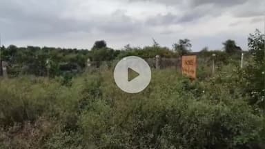 पंडारक: ₹1200 करोड़ की लागत से अम्बुजा सीमेंट की फैक्ट्री बनाने की योजना हुई फ़ेल, सरकार को हो रही आर्थिक क्षति