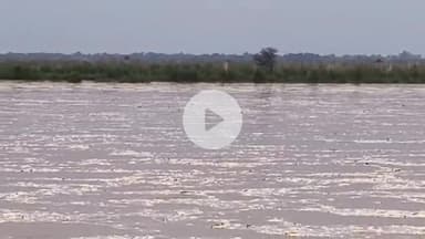 रोहतास: रोहतास और नौहट्टा में बाढ़ की आशंका बढ़ी, भारी बारिश के कारण बाणसागर में पानी जमा