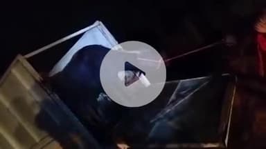 आरंग: आरंग थाना क्षेत्र में क्रूरतापूर्वक मवेशी ले जा रहे आरोपियों को किया गया गिरफ्तार