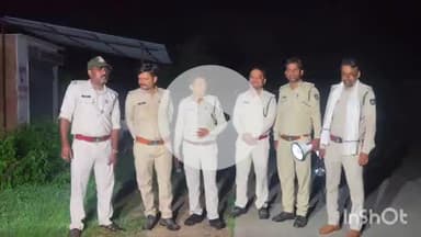 ब्यौहारी: ब्यौहारी के कोठिया में जंगली हाथी ने कटहल की फसल को पहुंचाया नुकसान