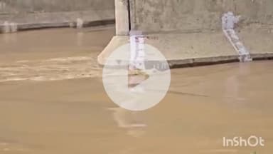 धौलपुर: चंबल नदी का जलस्तर बढ़ा, कोटा बैराज से पानी छोड़े जाने के बाद धौलपुर प्रशासन अलर्ट पर