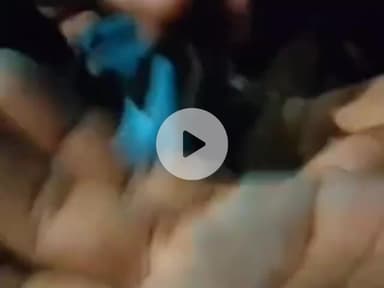 हसनपुर: सैदनगली में ग्रामीणों ने ड्रोन उड़ाते हुए युवक को रंगे हाथ पकड़ा, पुलिस ने की पूछताछ