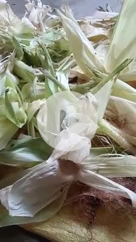 #makka bhunta
24 maca घंटे की पैदावार हर बनता