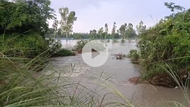 नवाबगंज: याकूतगंज गांव के निकट स्थित प्रतापगढ़ रजबहा के काटने से दर्जनों किसानों के खेतों में हुआ भारी जल भराव #jansamasya