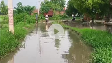 जलेसर: जलभराव से जूझ रहा जलेसर के नगला गडरियां,मुख्य मार्ग पर भरा गंदा पानी, गर्भवती महिलाएं और स्कूली बच्चे परेशान #Jansamasya
