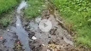 हसनपुर: गांव नगलिया मुंशी में गंदगी व जलभराव से परेशान ग्रामीणों ने किया प्रदर्शन #jansamasya