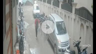 इंदौर: एयरपोर्ट रोड के व्यंकटेश नगर में श्वानों के झुंड ने फिर युवती पर किया हमला, वीडियो वायरल