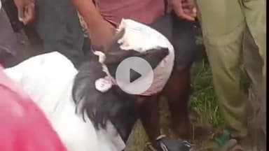 अमरोहा: अमरोहा देहात थाना इलाके में गांव वालों ने पांच मजदूरों को चोर समझकर पीटा, युवक फैक्ट्री से पैसे लेने जा रहे थे