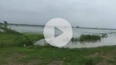 पीपलदा: इटावा क्षेत्र में लगातार बारिश से किसानों के खेत जलमग्न, सोयाबीन की फसल गलने की कगार पर, हालात खराब