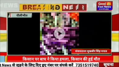 किसान पर बाघ ने किया हमला, किसान की हुई मौत,#goodfastnews #news #pilibhitkiawaz