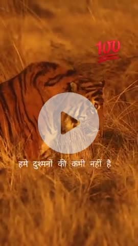 #श्रीराधे #श्रावणमास #बोलबम #काँवरिया#सावन #saavan #श्रीकृष्ण #maavindhyawasini #राधेकृष्ण #radhe #hanuman #ram #hari