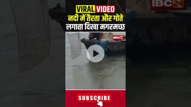 नदी में तैरता और गोते लगाता दिखा मगरमच्छ...देखिए Video #shorts #prayagraj #viralvideo #gangariver