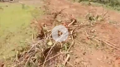 రేగోడు: దోసపల్లిలోని పల్లె ప్రకృతి వనం ధ్వంసం చేసిన దుండగులపై చర్యలు తీసుకోవాలని అధికారులకు గ్రామస్తుల ఫిర్యాదు