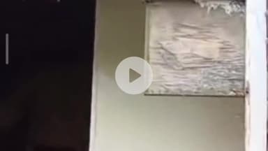 तरबगंज: नवाबगंज के खड़ौवा में अज्ञात चोरों ने दुकान की खिड़की तोड़कर ₹3 लाख का सामान किया चोरी