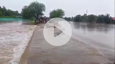 पांकी: पांकी में भारी बारिश से सभी नदी-नाले उफान पर