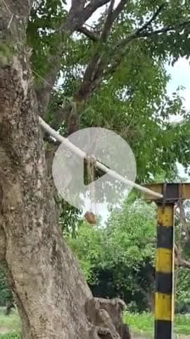 करछना: भरहा स्थित मार्ग पर लगे हाइट गेज हटाने को लेकर भारतीय किसान यूनियन 25 जुलाई को DM कार्यालय पर करेंगे धरना