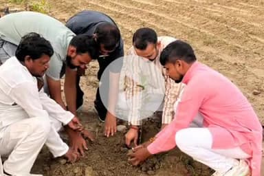 एत्मादपुर: बीजेपी के पूर्व महानगर अध्यक्ष व पार्षद ने छलेसर में लगाए 150 पौधे