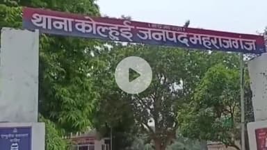 फरेंदा: मैनहवा टोला अमवा खुर्द में हरे पेड़ों की अवैध कटाई के मामले में ताज मोहम्मद को सुनाई गई सजा