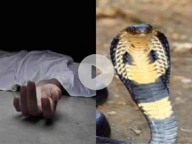 सिमडेगा: सांप के काटने से 14 वर्षीय किशोर की दर्दनाक मौत