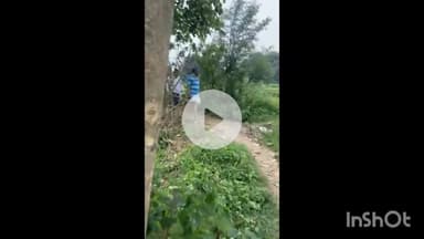 धनवार: बाबूलाल मरांडी ने खेत में धान की रोपाई की, तस्वीर साझा की