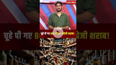 चूहे पी गए 802 बोतल अंग्रेजी शराब! धनबाद में गजब मामला #shorts #dhanbad #viralnews #wine