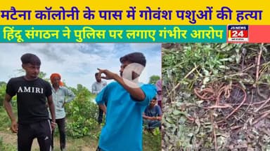 पीलीभीत:- पूरनपुर क्षेत्र में गोवंश पशुओं की हत्या, हिंदू संगठन ने पुलिस को लगाए गंभीर आरोप।@Shariq