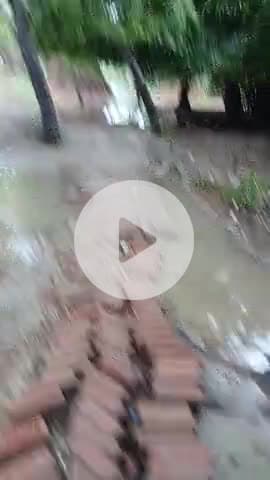 बीरपुर पुबी 8 wad सड़क पाकी करण अब तक नहीं हवा है