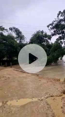 मलाह टोली, गुरहा पंचायत के सत्तबाहिनी नदी के पुल का गाइडवाल नही रहने के कारण रोड बही, मालाह टोली गांव हुआ टापू मे तपदील