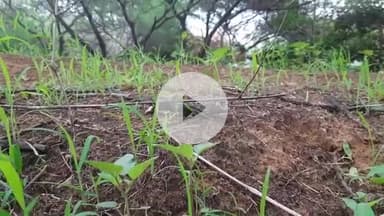 जीवन मे शिखर तक पहुँचना आसान है, लेकिन शिखर पर बनें रहना बहुत मुश्किल है।