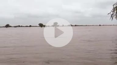 मारवाड़ जंक्शन: मारवाड़ जंक्शन में तेज बरसात के चलते जोगड़ावास एवं चिरपटिया बांध में पानी की आवक, दोनों बांध छलकने को आतुर