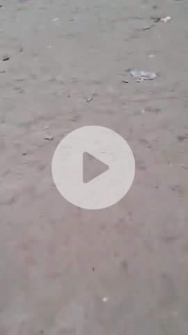 गोपालगंज मिंज स्टेडियम का बिकास, प्रसासन का सराहनीय योगदान