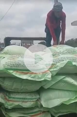 नवाबगंज: मसौली में किसानों को डीएपी खाद का वितरण किया गया शुरू, आधार कार्ड पर मिल रही है 3 से 4 बोरी खाद