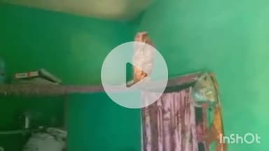 श्योपुर: ग्राम नागदा में पुजारी के घर चोरों ने सेंधमारी कर सोने-चांदी के जेवरात चुराए, कोतवाली थाने में मामला दर्ज