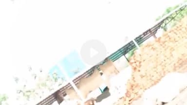 कोल: गौशाला में बिछने आई ईंटें हुईं लापता, गौ माता कीचड़ में अधिकारी एसी में