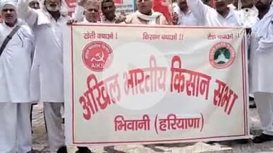 भिवानी: भवानी खेड़ा के कई गांवों में बारिश से फसल डूबी, किसानों ने किया प्रदर्शन