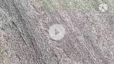 कोरबा: कोरबा में सड़क को लेकर राजनीति शुरू, भाजपा और कांग्रेस नेता आमने-सामने