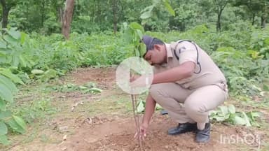 कोरबा: रजगामार चौकी परिसर में किया गया वृक्षारोपण, 127 फलदार पौधे लगाए गए