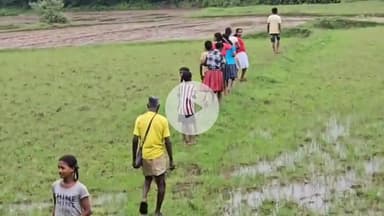 सिमडेगा: बांकी पंचायत में जंगली हाथियों के कहर से ग्रामीणों में दहशत