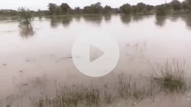 मारवाड़ जंक्शन: मारवाड़ जंक्शन के राजकीयावास खुर्द गांव में तालाब में डूबने से एक बालक और एक बुजुर्ग की मौत, पुलिस मौके पर पहुंची