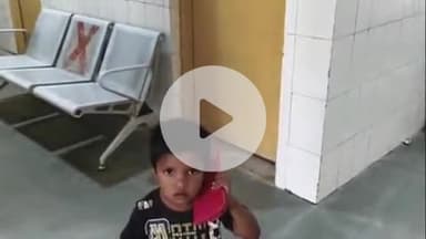 प्रतापगढ़: पूरेबाबू गांव में आवारा कुत्ते के हमले में एक मासूम घायल