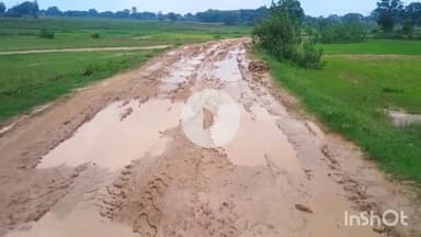 सिसई: मकुंदा गांव के कीचड़मय सड़क की हालत पर आक्रोशित ग्रामीणों ने सड़क पर रोपा धान, आंदोलन की चेतावनी दी #jansamasya