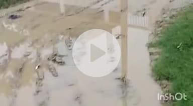 कुंडा: राजापुर बिन्धन गांव में सड़क पर जलभराव, ग्रामीण परेशान, एसडीएम कुण्डा से की शिकायत