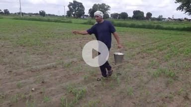 खेती किसानी हमारे पूर्वजों की देन है। लेकिन आज की युवा पीढ़ी इससे मुँह फेर रही है, जो एक चिंता का विषय है। कृषि में बढ़ती लागत और घटते मुनाफे की वजह से किसान कर्ज के दलदल में फंसते ही जा रहे है। कृषि विकसित होगी, तो देश विकसित होगा।