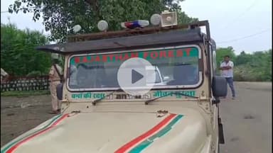 अकलेरा: अकलेरा के करकरा गांव में अतिक्रमण हटाने गई वन विभाग की टीम पर ग्रामीणों ने किया हमला, 7 वनकर्मी घायल