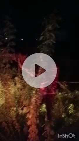 भरतपुर: सेवर मथुरा बाईपास पर 11 केबी बिजली लाइन के कार्य के चलते कुछ इलाकों की बिजली हुई गुल