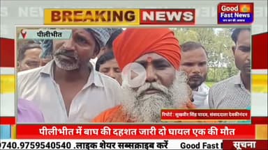 पीलीभीत में बाघ की दहशत जारी दो घायल एक की मौत#goodfastnews #news #pilibhitkiawaz